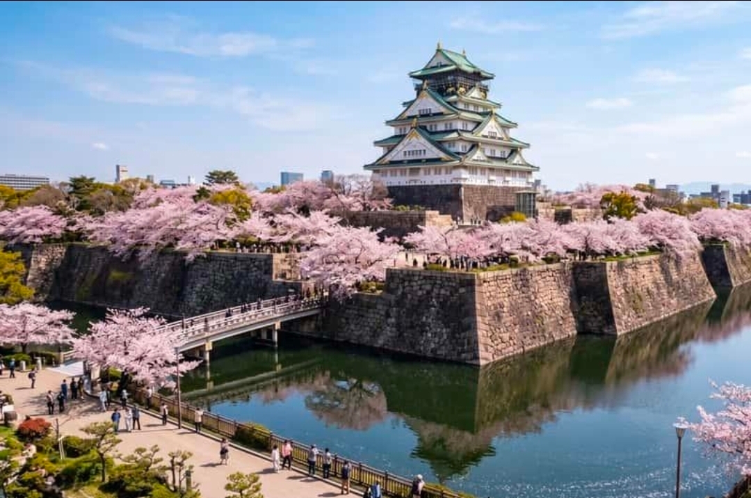 🏯✨ 日本大阪城 — 歷史與美景的完美交融 🇯🇵🌸

大阪城優雅地矗立在鬱鬱蔥蔥的花園和盛開的櫻花之間,是日本最具代表性的歷史地標之一。它擁有潔白的城牆、金色的建築細節和壯麗的綠色屋頂,令人嘆為觀止,展現了日本豐富的歷史和文化遺產。

大阪城四周環繞著美麗的花園、寧靜的步道和風景如畫的護城河,在櫻花盛開的季節尤其迷人,嬌嫩的粉紅色花朵將整個景色裝飾成夢幻般的天堂。 🌸

無論您是欣賞其宏偉的建築、探索周圍的公園,還是在櫻花樹下拍攝難忘的照片,這裡的每一處都蘊藏著美好的回憶。

大阪城不僅是歷史古蹟,更是日本力量、傳統和永恆之美的永恆象徵。 ❤️

📍 地點:日本大阪 🇯🇵

#大阪城 #大阪 #日本旅遊 #日本旅行 #櫻花 #美麗日本 #旅行攝影 #探索日本 #旅行癖 #2026旅行計劃 #自然奇觀