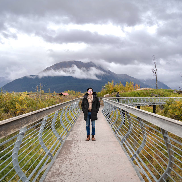 The Beauty of Alaska's Wildlife