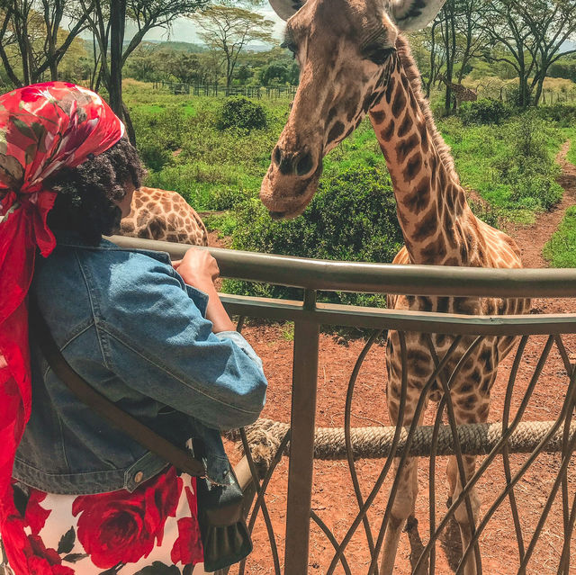 Visited the Giraffe Center