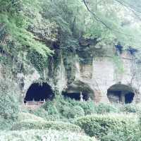 【神奈川県🇯🇵報国寺】竹林が有名な報国寺☺️マイナスイオンに癒されながらお抹茶で小休憩🍵