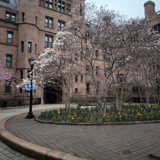 New Haven Day Trip