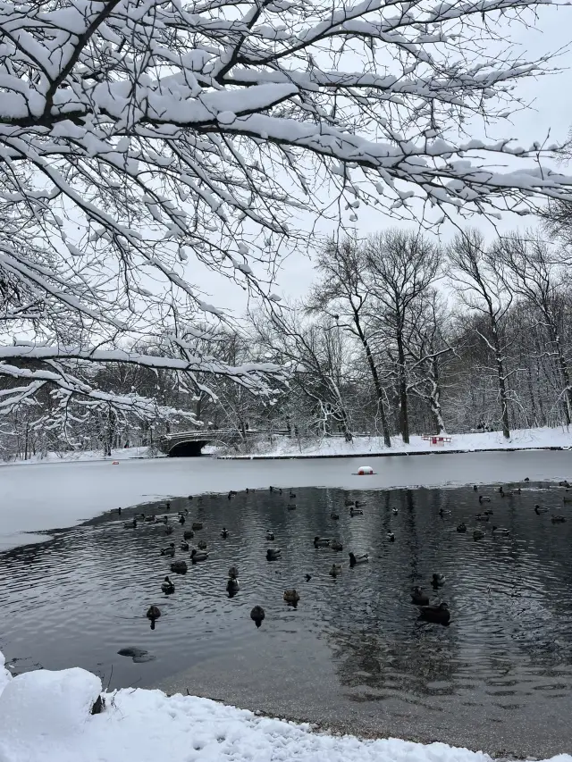 A Snowy Prospect Park, Brooklyn 