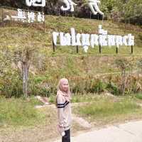สวนไม้ดอกเมืองหนาวเบตง (สวนหมื่นบุปผา)