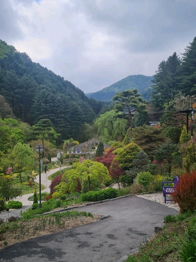 Garden of morning calm 🌿
