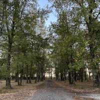 Reed’s bridge battle field 