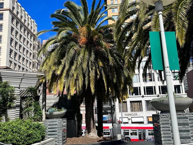 Union Square San Francisco 🇺🇸