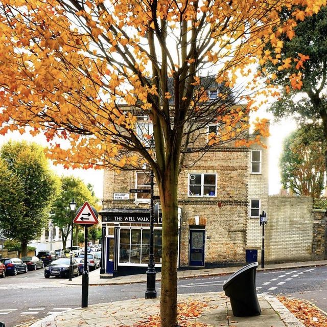 Notting Hill in Autumn: A Colorful Canvas 