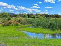 Jerrabomberra Wetlands Nature Reserve 🇦🇺