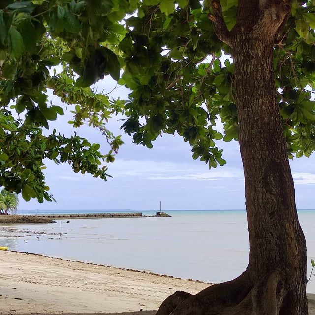 The Soothing Sounds of Daanbantayan 🌊