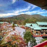 ♨️箱根富士屋♨️百年歷史💎酒店猶如博物館🎍