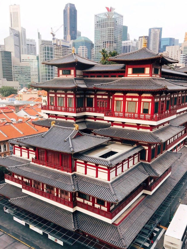 Singapore: The Lion City's Roar