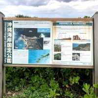🌺殘波岬燈塔🌺攀登30公尺高燈塔欣賞無敵美景