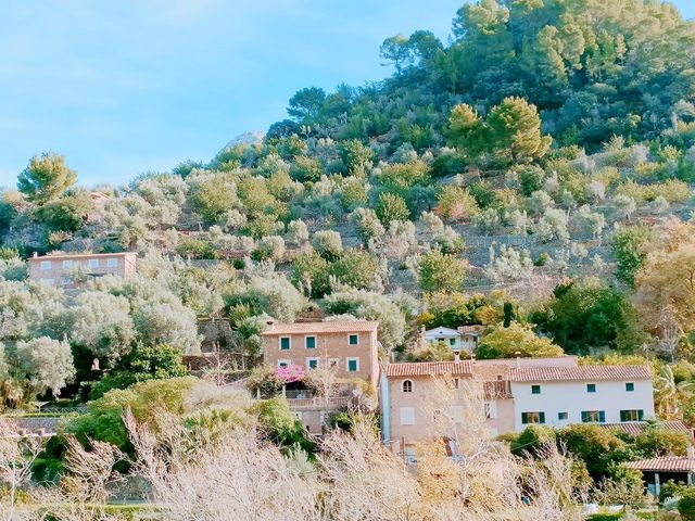 Palma de Mallorca 🇪🇸