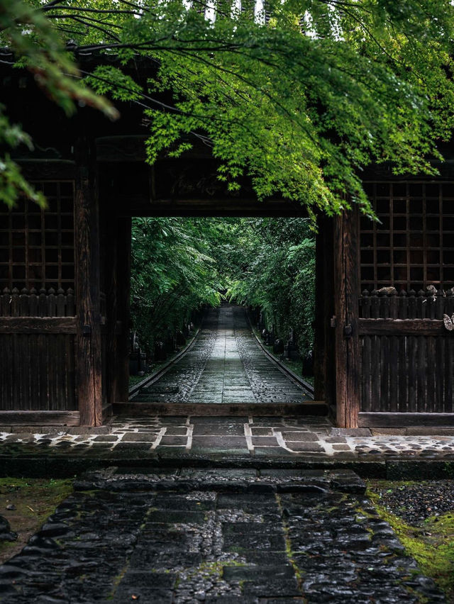 미야기현: 자연의 아름다움과 고대 문화 🌲🏯