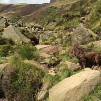 The crown of the Peak District 