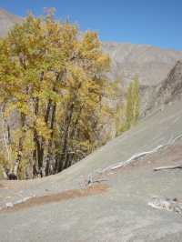 Hidden Valley Between Zinchan and Rumbak: A Remote Himalayan Escape