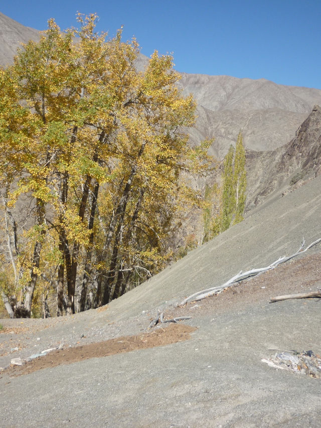 Hidden Valley Between Zinchan and Rumbak: A Remote Himalayan Escape