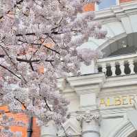 How to spend 8 days in London