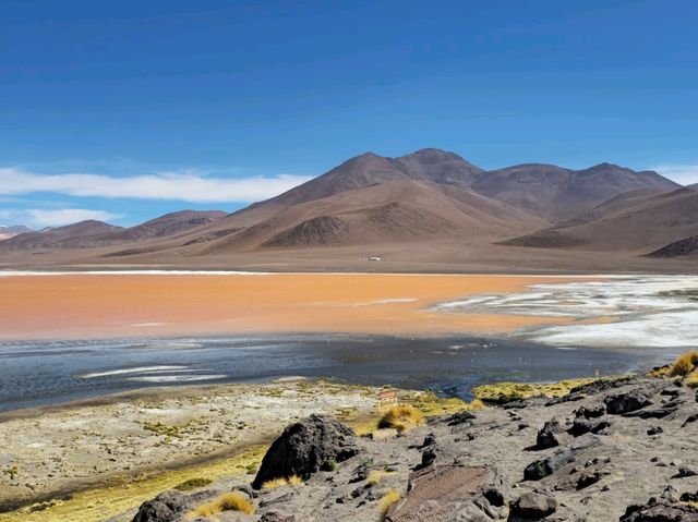 해외여행 볼리비아의 붉은 호수 Laguna Colorada