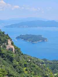 Miyajima Magic: From Floating Torii to Mountain Views