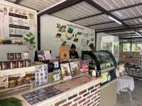 Secret spot for chocolate lovers in Ranong