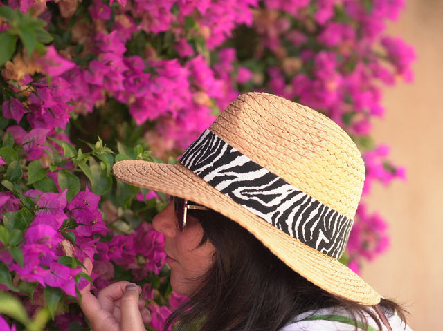 Step back in time with a visit to Pollença