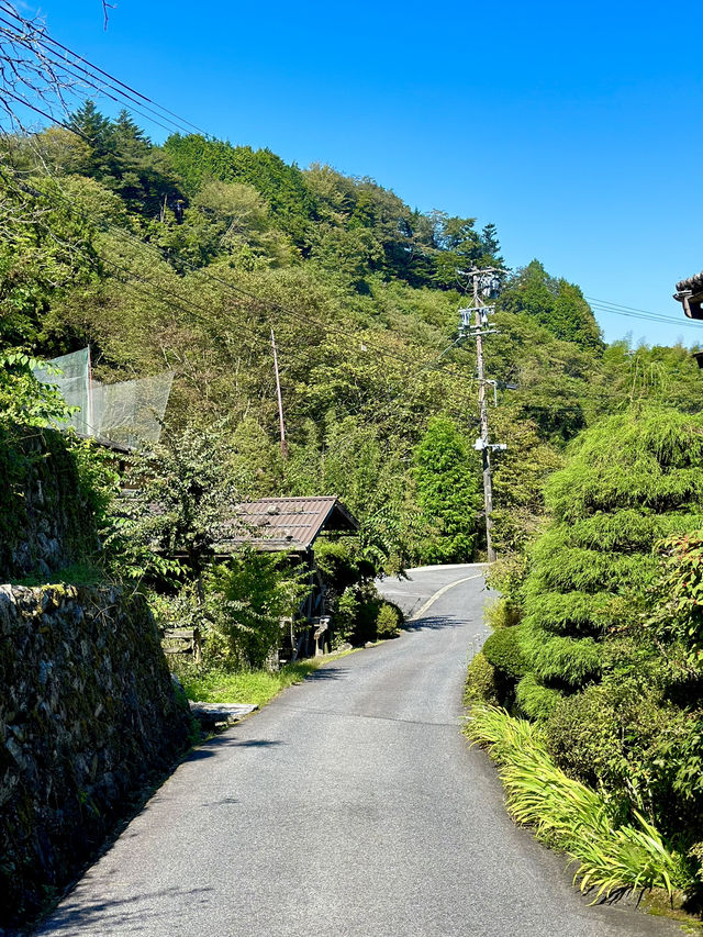 one of my favorite routes in Japan 🇯🇵 