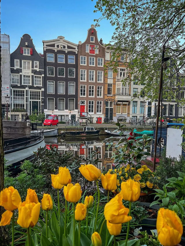 Amsterdam – Where Canals, Culture, and Creativity Meet