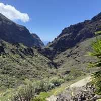 Sun, Stars & Volcano Trails: A Dreamy Holiday in Tenerife
