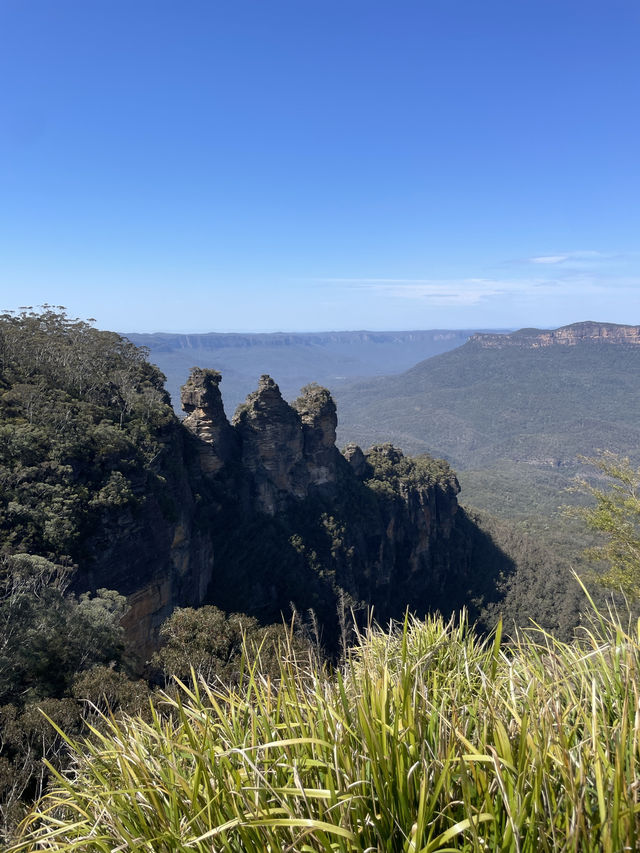 🌿 รีวิวเที่ยว Blue Mountains, Australia 