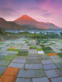 ⛰️ Sembalun – Lombok’s Highland Gateway to Rinjani