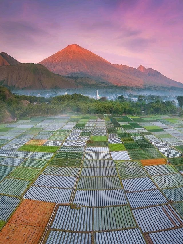 ⛰️ Sembalun – Lombok’s Highland Gateway to Rinjani