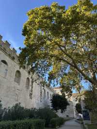 Dining at Bokeria, Split: Mediterranean Flavors in a Historic Setting