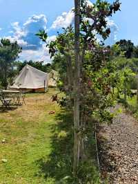 Kentish PIP, Kent England