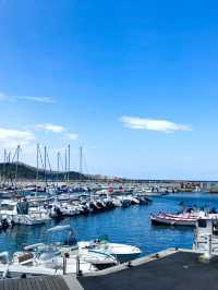 🌊 Le Fanal: Seaside Lunch Perfection With A View