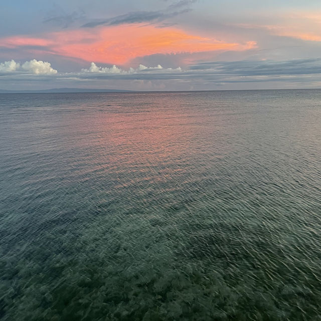 Dive Into Wonder: Cebu’s Underwater Paradise