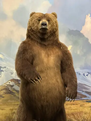 Times Square Glow: Leveling up the American Tour!