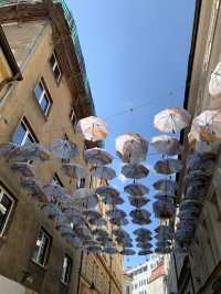 🏰 Bratislava – Charm Along the Danube 🌿✨