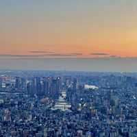 Tokyo Skytree at sunset 🌅