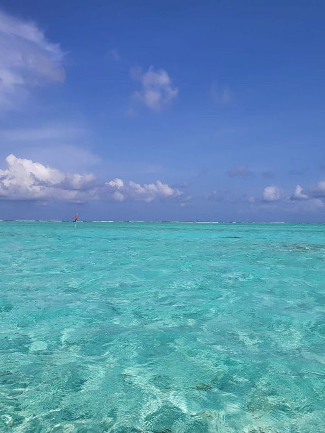 Add Riu Palace to your travel bucket list today! 🌊✨Why? Read