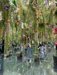 Flower Dreamscape🌸