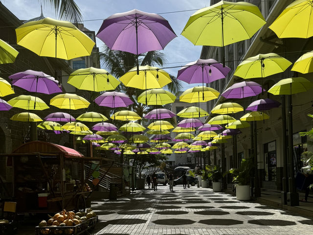 Mauritius Magic🌴 Mauritius Magic🌴