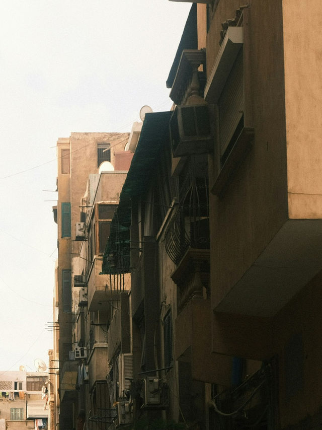 신의 그림자가 드리워진 루xor의 회랑 🇪🇬