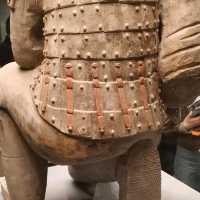 СИАНЬ за один день!