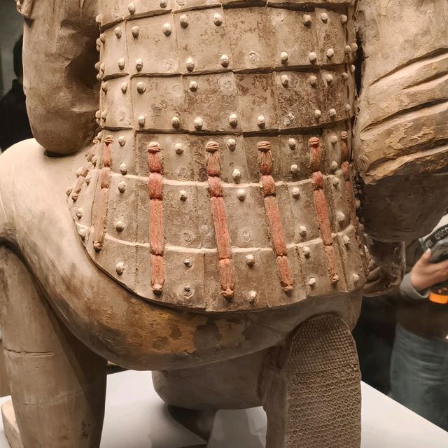 СИАНЬ за один день! СИАНЬ за один день!