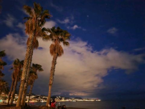 Malaga Spain

✨ Evening Magic in Old Malaga: When the Sun Sets, the Stones Shine

There’s something special about strolling through Malaga’s old city at dusk—the golden hour brings out dreamy reflections on its cobblestone streets, turning every corner into a postcard-perfect scene. 🌆✨

Start your walk at P.º de los Tilos, s/n, in Distrito Centro. This area truly comes alive in the evening (opening hours: 18:00–23:59 Tuesday-Thursday, 13:00–23:59 Friday-Saturday, 13:00–23:00 Sunday), so aim for an arrival just before sunset to catch the transition from warm daylight to glimmering nightlife. Highly recommend slowing down and letting the gentle city lights guide you—especially after a rain, when puddles mirror the historic architecture for otherworldly photo ops. 

Must-do experiences: Wander the narrow alleys behind the main squares, pop into a local tapas bar for some refreshing sangria, and listen for the distant sound of flamenco—sometimes impromptu shows spark up as the evening unfolds. Top photo spots: Plaza de la Merced for atmospheric lights, Calle Larios for glossy pavement reflections, and any winding side street lined with orange trees. Pro tip: If you like long-exposure photography, the lamplight shimmering off the wet stones offers magical effects.

Practical tips: Wear comfy shoes—some paths can be slippery if there’s been rain. Keep your camera or phone handy and easily accessible for spontaneous photo opportunities. Also, Malaga’s old city feels safe, but stick to well-lit areas after dark and avoid isolated alleys if exploring solo.

If after dusk you just want to keep lingering, find a terrace bar for people-watching and savor the city’s soft, Mediterranean glow.

#Malaga #EveningWalk #OldCityMagic #TravelSpain #StreetPhotography