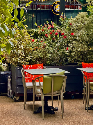 [London] Vibes & Views at Victoria Embankment Gardens 🌳🍹