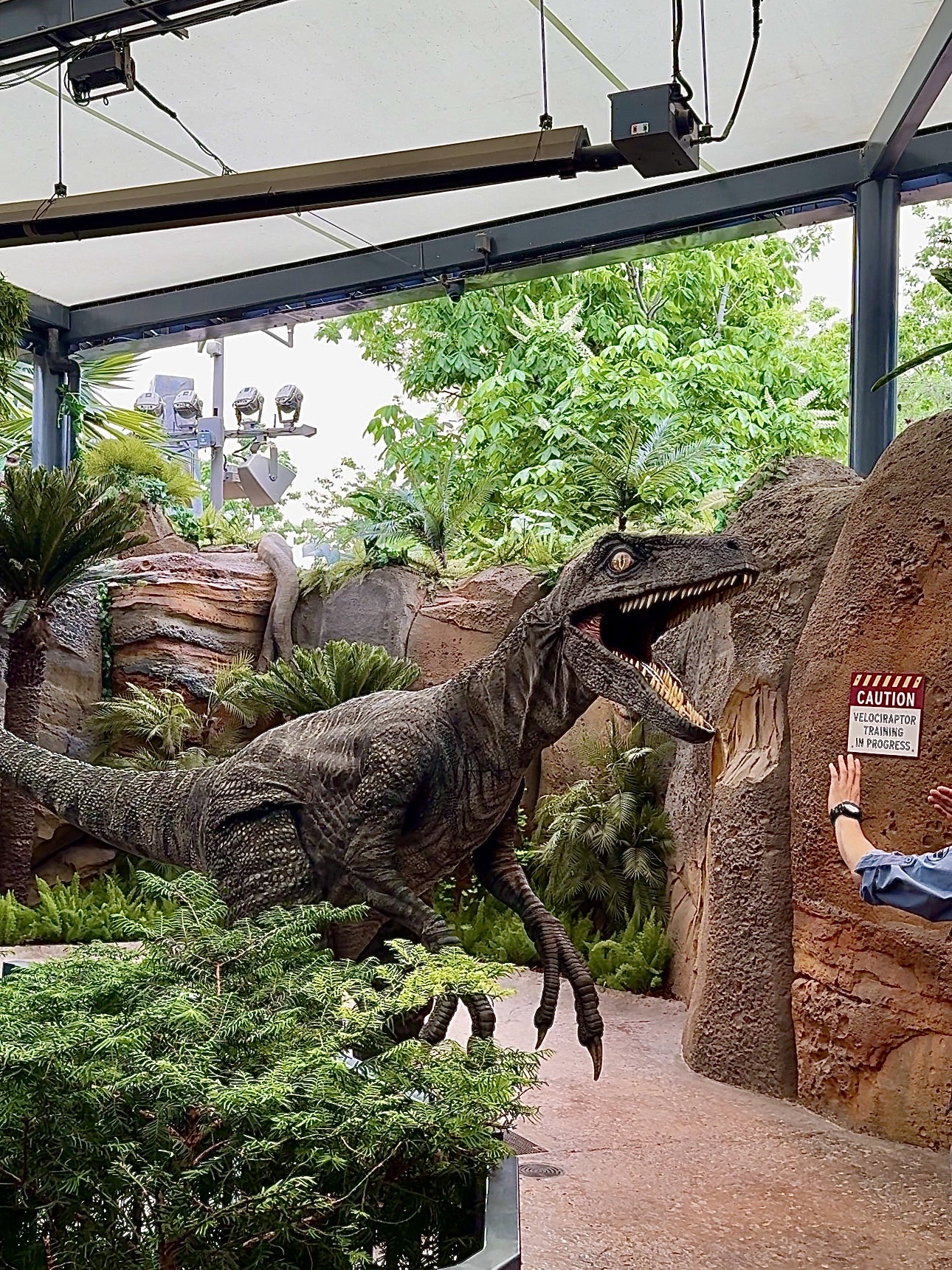 Raptor Encounter - Встреча с раптором🦖
