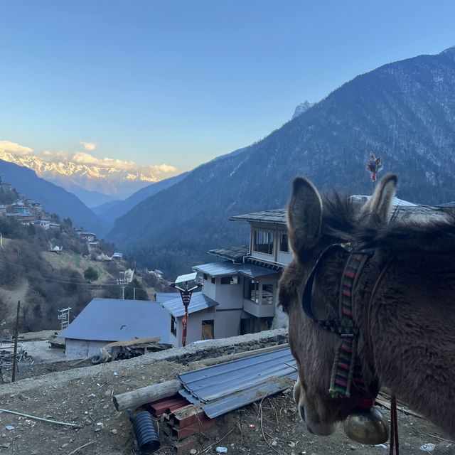 Mountain View Stay 