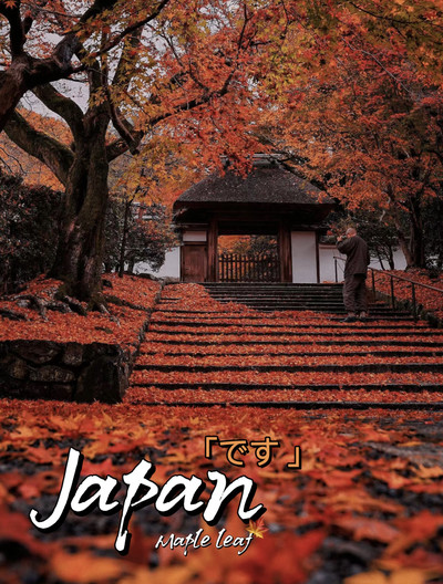 むぎゅうさ「Autumnal tints」 Red Leaf Autumn colors Wallpaper 4K, Tohoku, Autumn Forest